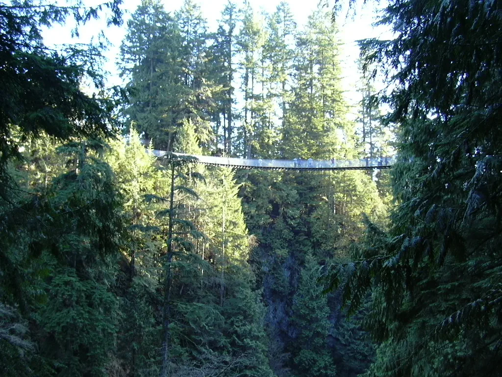 The Capilano Suspension Bridge stretched high across a forested canyon of tall evergreens in North Vancouver